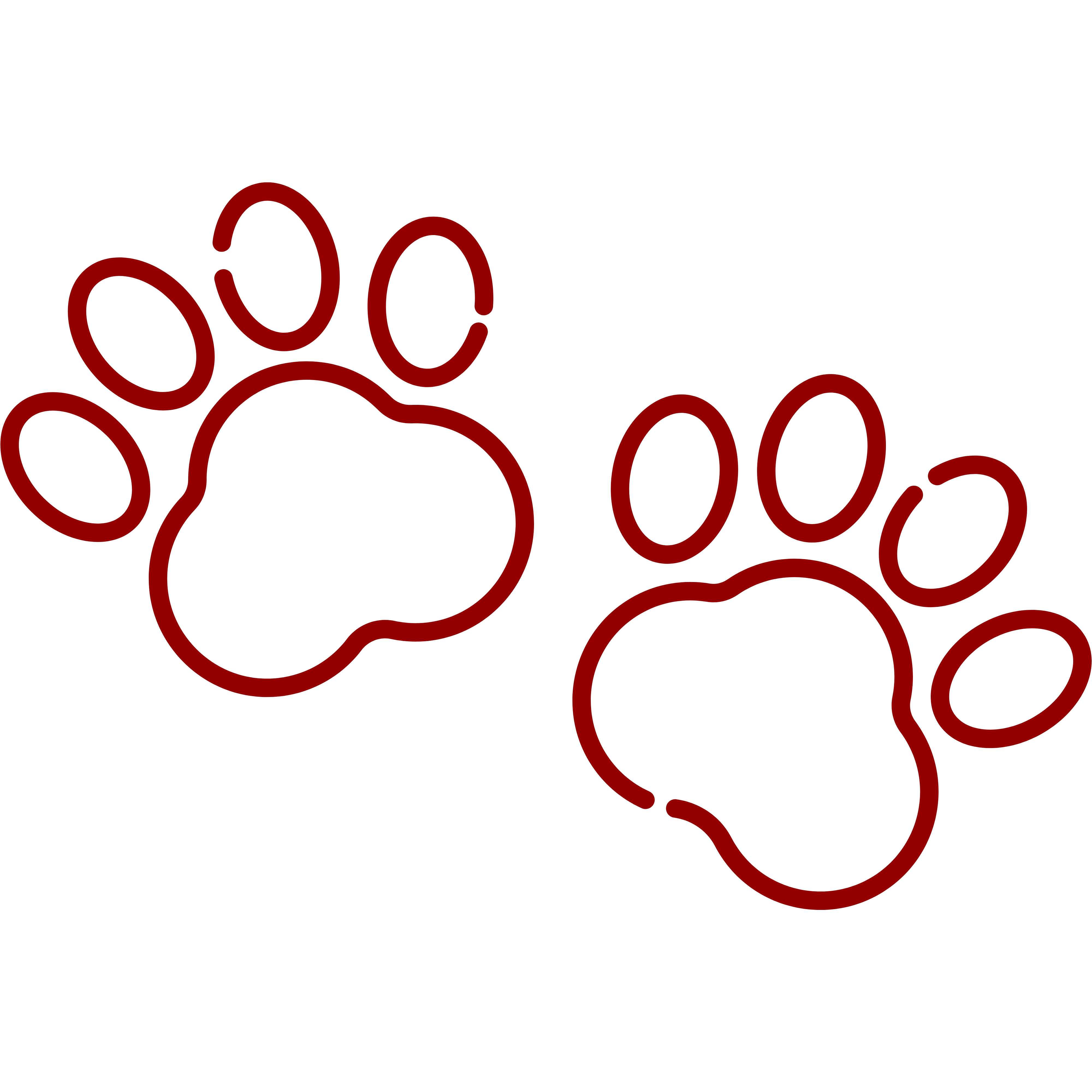 Icône animaux acceptés